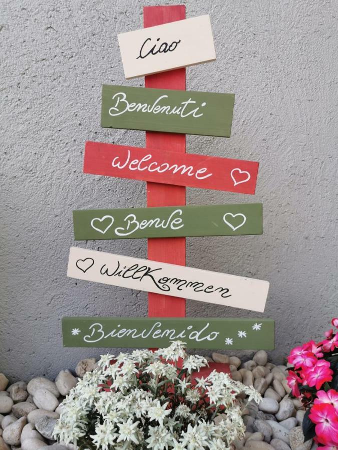 Minavill La Casa Sulle Dolomiti Bed & Breakfast Fiera Di Primiero Luaran gambar