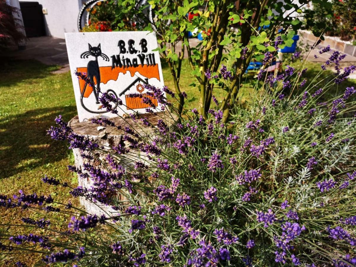 Minavill La Casa Sulle Dolomiti Bed & Breakfast Fiera Di Primiero Luaran gambar