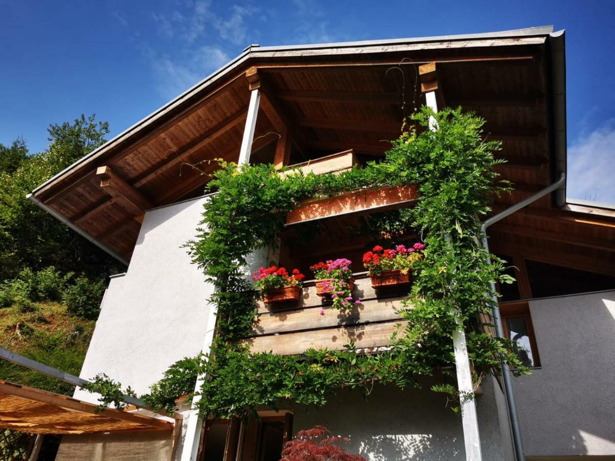 Minavill La Casa Sulle Dolomiti Bed & Breakfast Fiera Di Primiero Luaran gambar